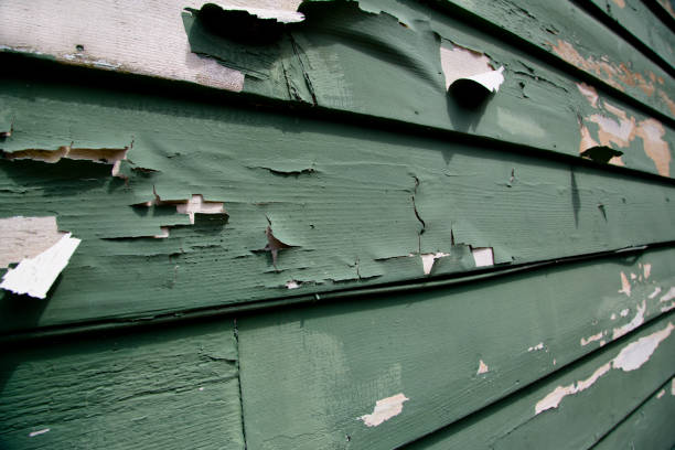 Best Insulated Siding Installation  in Cashmere, WA